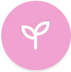 Clean Ingredients Without Artificial Add-Ons